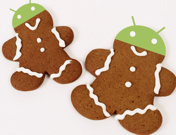 Gingerbread ( Android 2.3 )